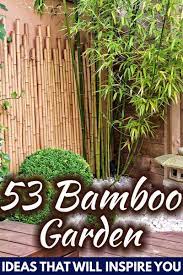 The huge number of species means that you will not have difficulty in finding the right one and looking at all these wonderful bamboo garden design ideas you may find your inspiration. 53 Bamboo Garden Ideas That Will Inspire You Garden Tabs