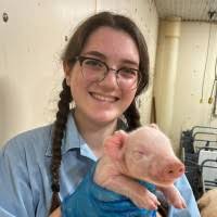 60+ "Chiulli" profiles