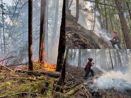Forest fires in british columbia: Bc Wildfire Service Working To Put Out Two More Fires That Started This Long Weekend