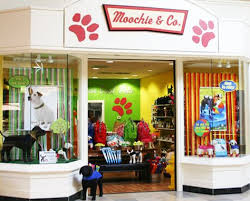 Check spelling or type a new query. 31 Pet Boutique Ideas Pet Boutique Dog Boutique Ideas Pet Store Ideas
