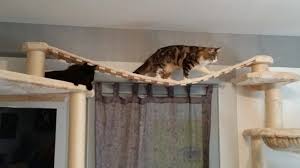 Kratzbaum Selber Bauen 67 Ideen Und Bauanleitungen Archzine Net Kratzbaum Selber Bauen Kratzbaum Selber Bauen