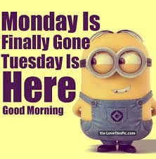 This article will also provide a beautiful collection of good morning images for whatsapp and facebook. 280 Day Tuesday Ideas Happy Tuesday Tuesday Tuesday Quotes
