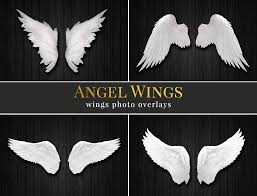 Files of overlays are created in jpg file format and appropriate for jpg and raw image formats. Angel Wings Photo Overlays Brown Leopard