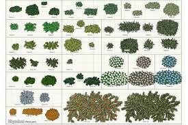 Vectorworks Plant This Set Is Added For Free Plants Cactus Plants Garden Planning