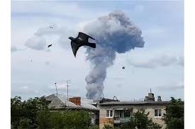 See more of hunde on facebook. Backnanger Kreiszeitung