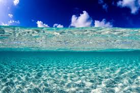9 Tips Tricks For Beginner Underwater Photographers Underwater tricks explained underwater swimming underwater breath hold pool day. beginner underwater photographers