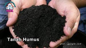Namun, struktur tanah vulkanik memiliki kekurangan yakni. Tis 10 Jenis Tanah Subur Untuk Pertanian Semai Tanam Types Of Fertile Soil To Seed Grow Youtube