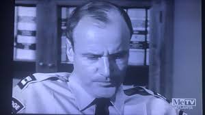 Toupee or not Toupee? That's the question. Remember actor Richard Anderson  from The Six Million Dollar Man & it's spin-off? Here's Richard without his  hairpiece