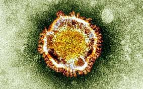 Poiché in una data popolazione, ogni anno, è atteso il verificarsi… Entenda A Diferenca Entre Epidemia Pandemia Endemia E Surto Revista Galileu Saude
