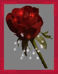 Https Encrypted Tbn0 Gstatic Com Images Q Tbn 3aand9gct Acoot5tc 7yjhris0anwp0oxpazfterjjw Usqp Cau