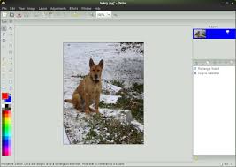 We did not find results for: Pinta 0 4 A Really Good Paint Net Alternative For Linux