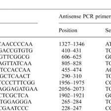 Maybe you would like to learn more about one of these? Pdf Dissection Genetique Du Generateur Central Respiratoire Chez La Souris Neurones Rythmogenes Et Synchronisation Bilaterale