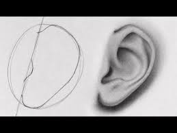 How to shade an eyeball. Learn How You Can Draw Realistic Female Faces Quickly This Tutorial Takes You Through A Step By Step Process With D How To Draw Ears Lips Drawing Nose Drawing
