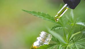 Best Cbd Oil For Anxiety And Depression Top Brands For 2021 Observer