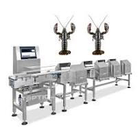 Advanced Seafood Sorting Machine for Shrimp and Fish Processing
