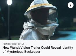The titular characters can't remember how they came to live in. Rita Farr From Dc S Bee Keeper And The Borg To Crossover Into Disney Wandavision Dcdoompatrol