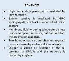 How Plants Sense And Respond To Stressful Environments Plant Physiology