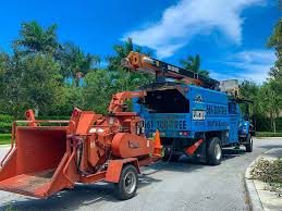 I have a very large tree within 10 feet of curb which i need to remove in order to install solar panels. Tree Removal Tree Trimming Tree Removal Lucky Tree Service