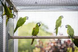 In juni 2014 is binnen de nieuwe dierenwet het besluit houders van dieren in regeling getreden. 35cage7qwuhqum