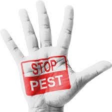 74 likes · 3 were here. Bug Busters Do It Yourself Pest Control Home Facebook