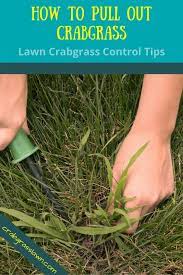 Pin On Crabgrasslawn Com