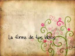 Download and listen online la ingrata by café tacuba. Quiero Ver Cafe Tacvba Letras Com