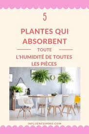 5 Plantes Qui Absorbent L Humidite De Toutes Les Pieces Trucs Et Astuces Maison Plante Plante Salle De Bain