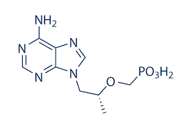 Tenofovir is an antiretroviral (arv) medication used to prevent and treat hiv and to treat chronic hepatitis b. Tenofovir 99 Hplc Selleck Reverse Transcriptase Inhibitor