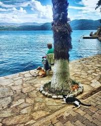 Pin By Engin Aksungur On Akyaka Instagram Bird Bath Instagram Posts