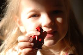 Review/Giveaway: Bee Bop Robot by Gaddy Nipper Crayons