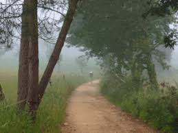 Finding Your Inspiration To Walk The Camino De Santiago In 2020 Camino De Santiago Santiago De Compostela Spain Santiago De Compostela Pilgrimage
