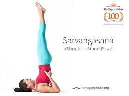 How To Do Sarvangasana Check Steps Precautions Benefits Yoga Institute Shoulder Stand Yoga Positions