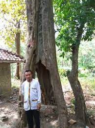 Soal matematika quizizz kelas 6. Matematika Kelas 9 Mathematics Quiz Quizizz