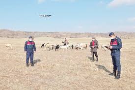 Corum Da 30 Kucukbas Hayvan Drone Yardimiyla Bulundu Bursada Bugun Bursa Bursa Haber Bursa Haberi Bursa Haberleri Bursa