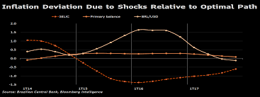 Reals Slide Could Force Brazil To Raise Rates In 1q