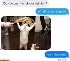 Do You Want To Join My Religion What S Your Religion Cat Worship I M Interested Starecat Com