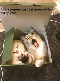 Pop Up Toys Https Cheezburger Com 9252069120 Cats Funny Cats Cat Memes