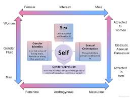 As a result, they are attracted to all genders. Transgender Facts Mayo Clinic