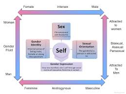 Someone who's fluid, they aren't necessarily going to consistently experience attraction for both women and men, diamond explains. Transgender Facts Mayo Clinic