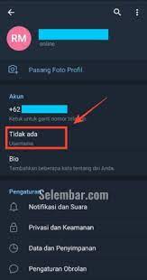 Fungsi username di telegram : Cara Membuat Username Telegram Di Hp Dan Pc Selembar Com