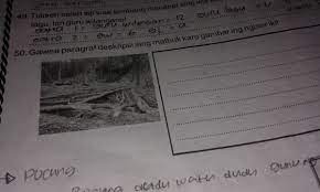 Gambar 5.3 19 (1) tulisen idhe pokoke kang mathuk! Gawea Paragraf Deskripsi Sing Mathuk Karo Gambar Ing Ngisor Iki Tolong Di Jawab Y Brainly Co Id