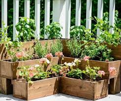 To start your own miniature garden of greens, you'll need a set of mason jars, some potting soil, seedling samples of your favorite herbs and a transplant mature herbs with care. Diy Herb Gardens For Every Space Better Homes Gardens