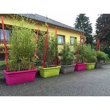 Jardiniere Pret A Poser Avec Bambous Au Choix Installez ce bac à fleurs dans votre jardin pour y planter des fleurs ou des petits arbustes. jardiniere pret a poser avec bambous au choix