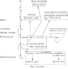 Chemical Characters In Plant Taxonomy Some Possibilities
