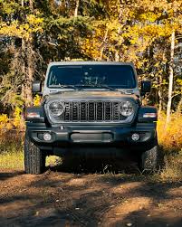 Image result for Frostbite 2024 Durango