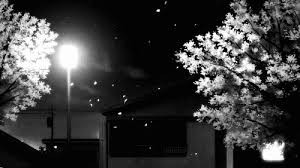 Anime Black And White Background Aesthetic Https Encrypted Tbn0 Gstatic Com Images Q Tbn 3aand9gcrdkczlgtc2yednuhr Jaerrpjzusr8vbnkvw Usqp Cau