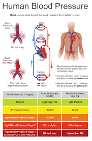 Image result for Pulse Pressure
