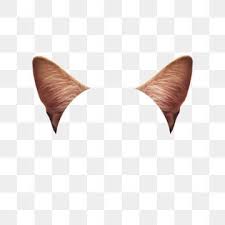 Cat Ears K Kitty Animals Cute Png Kitty Animals Animal Png Transparent Clipart Image And Psd File For Free Download In 2020 Cat Colors Cat Background Geometric Cat