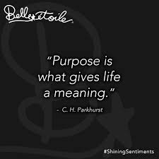Purpose Is What Gives Life A Meaning C H Parkhurst Shiningsentiments Motivationmonday Mondaym Monday Quotes Inspirational Quotes Monday Motivation