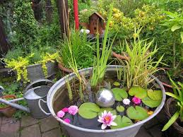 Zinkwanne Als Miniteich Mit Zwergseerosen How Can You Design A Mini Garden This Question Appears More And In 2020 Garden Pond Building Raised Garden Beds Mini Pond
